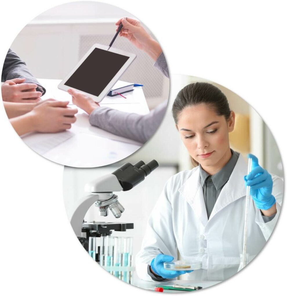 Services : Conseil qualité - Alma & Margo